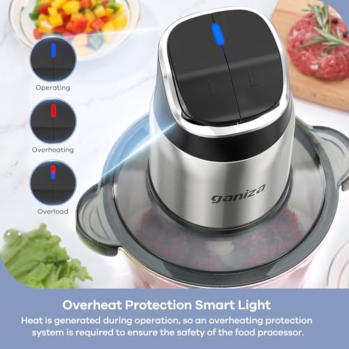 Ganiza Food Processor with Dual Bowls, 2-Speed Food Chopper & Meat Grinder - My Kitchen Products