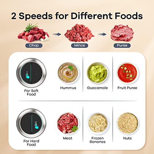 GANIZA Food Processors, Electric Food Chopper with Meat Grinder & Vegetable Chopper - 2 Bowls (8 Cup+8 Cup) with Powerful 450W Copper Motor - Includes 2 Sets of Bi-Level Blades for Fruits/Meat/Nuts - My Kitchen Products