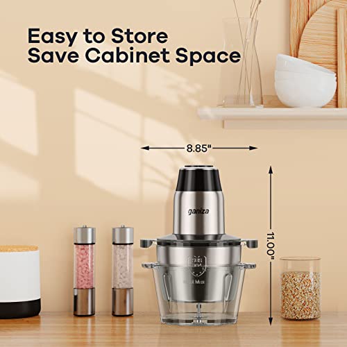 GANIZA Food Processors, Electric Food Chopper with Meat Grinder & Vegetable Chopper - 2 Bowls (8 Cup+8 Cup) with Powerful 450W Copper Motor - Includes 2 Sets of Bi-Level Blades (Silver) - My Kitchen Products