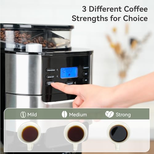 Gevi 10-Cup Drip Coffee Maker with Burr Grinder | Programmable Timer, 1.5L Water Tank, Reusable Filter, Warming Plate, All-in-One Brew & Grind Coffee Machine - My Kitchen Products