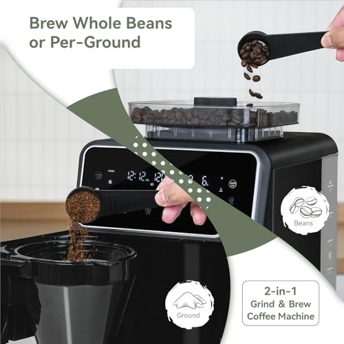 Gevi Grind & Brew Coffee Maker 10 Cup, Built-In Burr Grinder Drip Coffee Machine, Programmable Touch Screen, 4-Hour Warm Plate, Permanent Filter & Glass Carafe - My Kitchen Products