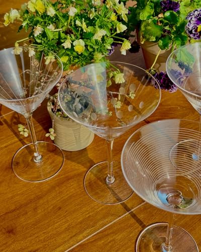 Gnimihz Etched Martini Glasses Set of 4-9 oz, Handmade Premium Crystal Cocktail Glasses, Martini, Cosmopolitan, Manhattan, Gimlet, Pisco Sour, Christmas Gifts for Men Women, Etched - My Kitchen Products
