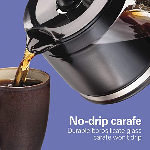 Hamilton Beach 12 Cup Compact Programmable Drip Coffee Maker - My Kitchen Products