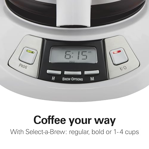 Hamilton Beach 12 Cup Programmable Drip Coffee Maker - My Kitchen Products