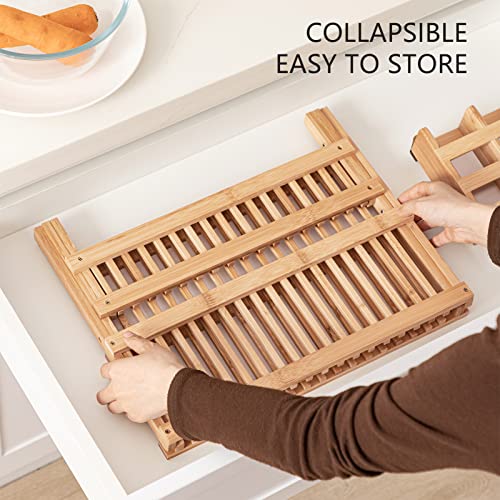 HBlife Dish Rack, Bamboo Folding 2-Tier Collapsible Drainer Dish Drying Rack with Utensils Flatware Holder Set (Dish Rack with Utensil Holder) - My Kitchen Products