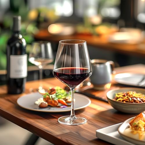 Hlukana Unbreakable Wine Glasses Set of 6, 16 oz Plastic Wine Glasses with Stem, BPA Free, Reusable Wine Glass for Poolside, Outdoors Camping Picnic Restaurants Home Bar Christmas Unique Gift - My Kitchen Products