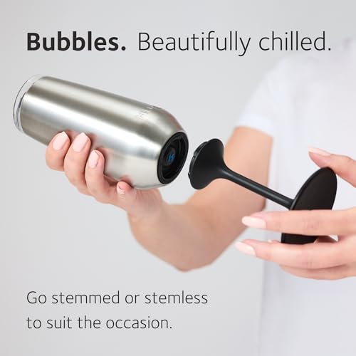 Huski Champagne Flute | NEW | Award-winning Design with Detachable Stem | Premium Stainless Steel Champagne Glass with Lid | Triple Insulated Tumbler | 8oz Capacity | Great Gift (Powder Pink) - My Kitchen Products