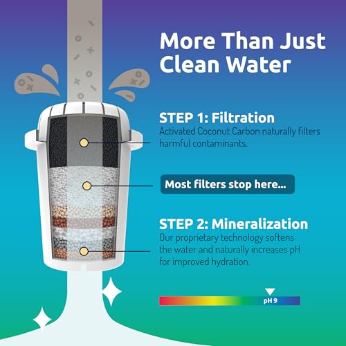 Invigorated Water PH001 - White Alkaline Water Filter – Replacement Filters for all Pitcher & Dispenser Filtration Systems – BPA-Free, Removes Chlorine, Heavy Metals – 96 Gallons/Filter (3-Pack) - My Kitchen Products
