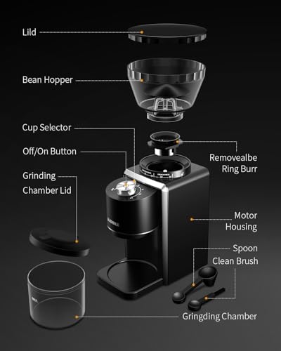 KIDiSLE Conical Burr Espresso Grinder, 35 Precise Settings Electric Coffee Bean Grinder with Anti-Static Technology, Quiet Burr Coffee Grinder for Espresso, Pour Over, French Press, 2-12 Cup, Black - My Kitchen Products
