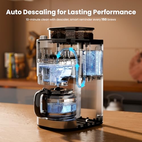 Kismile Drip Coffee Maker with Built-in Grinder, 10-Cup Grind and Brew Coffee Machine with Timer, Descaling Alert, Programmable with Brew Strength, 1.5L Water Tank, 2H Keep Warm for Home/Office - My Kitchen Products