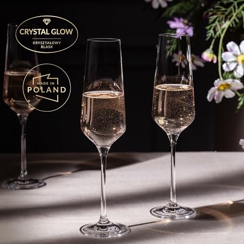 KROSNO Crystal Champagne Flute Glass | Set of 6 | 6.1 oz | Avant-Garde Collection | Perfect for Home, Restaurants and Parties | Dishwasher Safe - My Kitchen Products