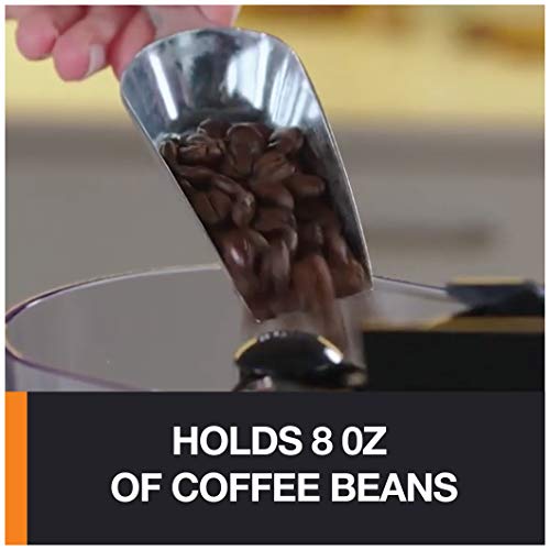 KRUPS Precision Burr Coffee Grinder: 12 Settings, 8 oz Capacity for Drip, French Press, Espresso, Pour Over, Cold Brew - Stainless Steel, 110W, Auto-Stop, Easy Clean - Coffee Grinders for Home Use - My Kitchen Products