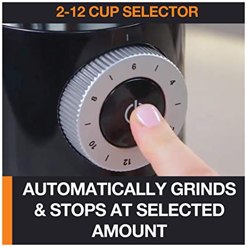 KRUPS Precision Burr Coffee Grinder: 12 Settings, 8 oz Capacity for Drip, French Press, Espresso, Pour Over, Cold Brew - Stainless Steel, 110W, Auto-Stop, Easy Clean - Coffee Grinders for Home Use - My Kitchen Products