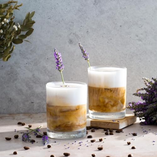 Le'raze Set of 12 Heavy Base Rocks Glass Cups, Elegant Old Fashioned Drinking Glasses Set for Whiskey, Cocktails, Beer and More - Dishwasher Safe, Lead and BPA Free - 10oz. - My Kitchen Products