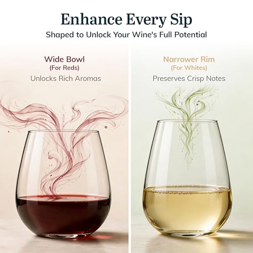 Libbey Stemless Wine Glasses Set of 12, Dishwasher Safe Set Of Wine Glasses, Perfect for Cocktails, Water, and Outdoor Glassware - My Kitchen Products