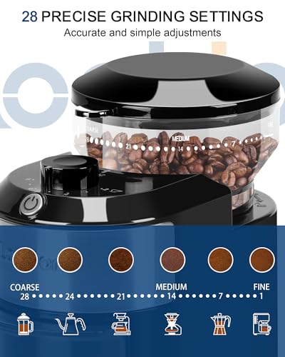 Lonkion Burr Coffee Grinder Electric - Adjustable Burr Grinder with 28 Precise Grind Settings for 12 Cups - Coffee Grinders for Home Use - Professional Coffee Bean Grinder - Stainless Steel - My Kitchen Products