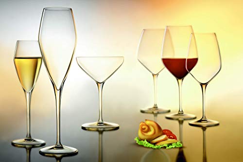 Luigi Bormioli Atelier 9.25 oz Champagne Glasses, 6 Count (Pack of 1), Clear - My Kitchen Products