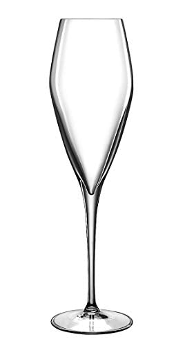 Luigi Bormioli Atelier 9.25 oz Champagne Glasses, 6 Count (Pack of 1), Clear - My Kitchen Products