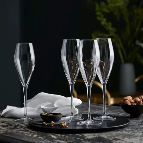 Luigi Bormioli Atelier 9.25 oz Champagne Glasses, 6 Count (Pack of 1), Clear - My Kitchen Products