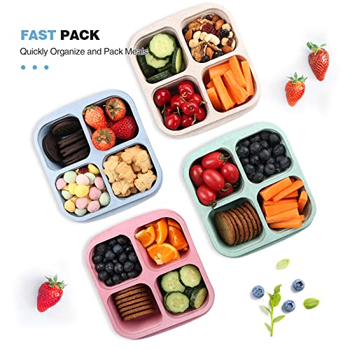 Lvcksturoge 4 Pack Snack Containers, 4 Compartments Bento Snack Box, Reusable Meal Prep Lunch Containers for Kids Adults, Divided Food Storage Containers for School Work Travel - My Kitchen Products