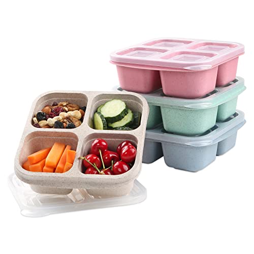 Lvcksturoge 4 Pack Snack Containers, 4 Compartments Bento Snack Box, Reusable Meal Prep Lunch Containers for Kids Adults, Divided Food Storage Containers for School Work Travel - My Kitchen Products