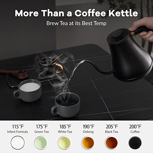 Mecity Electric Kettle Gooseneck Pour Over Kettle ±1℉ Temperature Control Quick Heating Water Boiler for Coffee & Tea & Formula Auto Shut Off Tea Kettle 1200 Watt, 0.8L, Matt Black, Barista Edition - My Kitchen Products