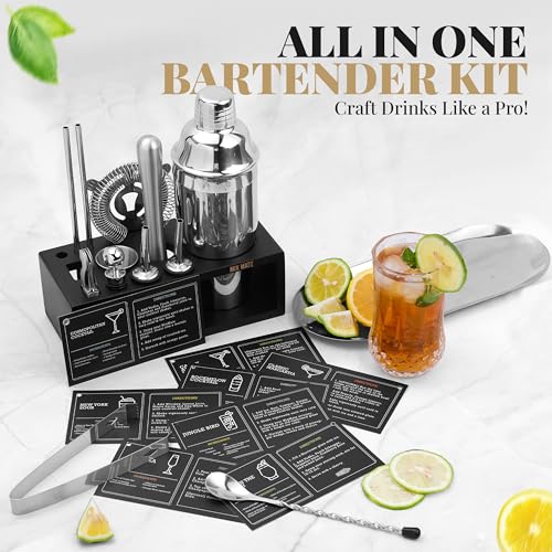Mixology Bartender Kit with Stand - 15 Piece Bar Tool Set, Silver Bar Set Cocktail Shaker Set for Drink Mixing - Includes Martini Shaker, Jigger, Strainer, Bar Mixer Spoon, Tongs, Opener | Gift Idea - My Kitchen Products