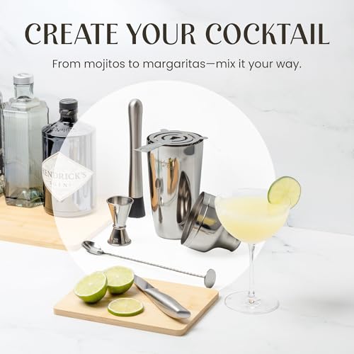 Mixology Cocktail Shaker Set - 10-Piece Cocktail Making Set - Home Bartender Kit in Bamboo Stand with Spoon, Boston Shaker, Other Tools for Drink Mixing, Martini, Mocktail - Gift Set (Silver) - My Kitchen Products