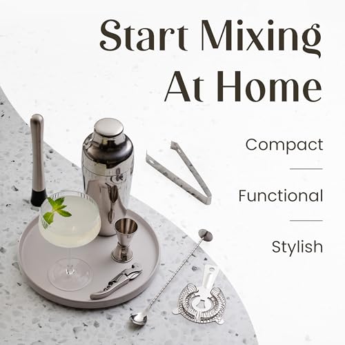 Mixology Cocktail Shaker Set - 10-Piece Cocktail Making Set - Home Bartender Kit in Bamboo Stand with Spoon, Boston Shaker, Other Tools for Drink Mixing, Martini, Mocktail - Gift Set (Silver) - My Kitchen Products