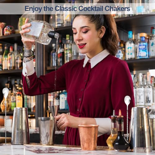 Mwellewm Cocktail Shaker Boston Shaker Set 15 Pcs Professional Bartender Kit Bar Shaker Stainless Steel Drink Shaker Bartending Martini Shaker Tin Mixed Alcohol Shaker Tool for Beginner(Silver) - My Kitchen Products