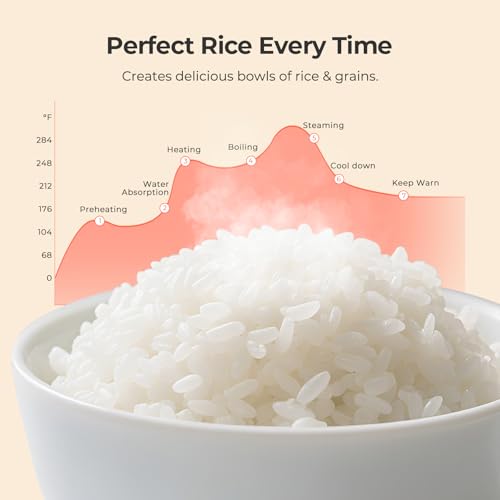 Narcissus 3.5-Cup Rice Cooker for 1-3 People, Multifunctional for Rice, Oatmeal, Quinoa - Slow Cook, Steam, Cook Rice & Steam Dish Together, Rice White - My Kitchen Products