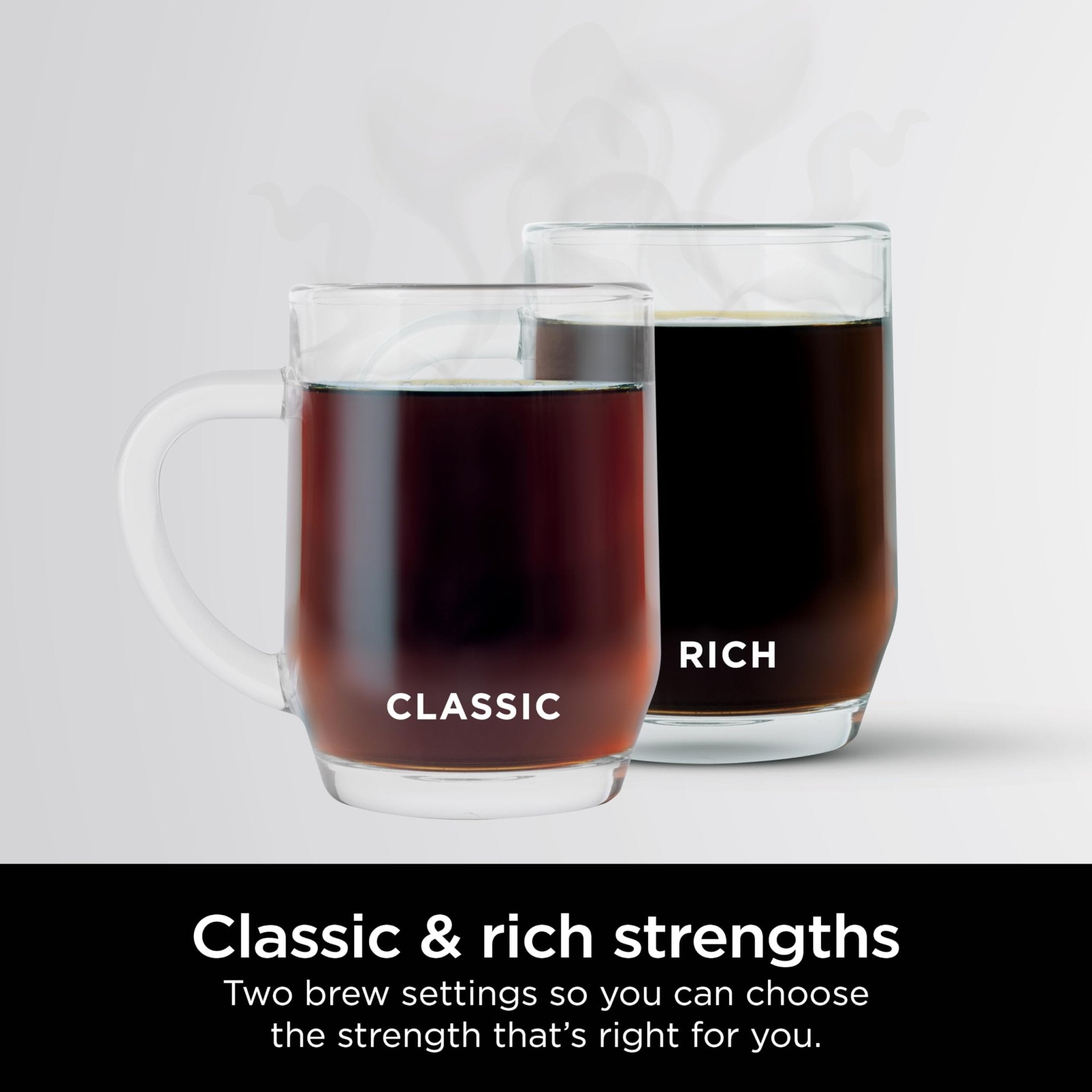 Ninja 12-Cup Programmable Coffee Brewer, 2 Brew Styles, Adjustable Warm Plate, 60oz Water Reservoir, Delay Brew - Black/Stainless Steel - My Kitchen Products