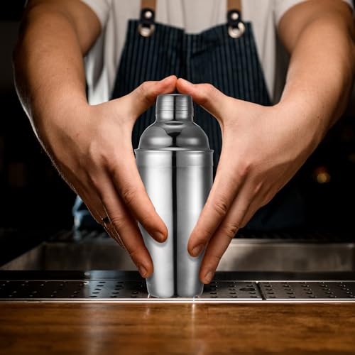 Nitial 6 Pcs Bar Cocktail Shaker Professional Stainless Steel Martini Drink Mixer with Built-in Strainer for Bartending No Leaks Boston Shaker for Bar Party Drink Mixing Tool(18.6 oz,Silver) - My Kitchen Products