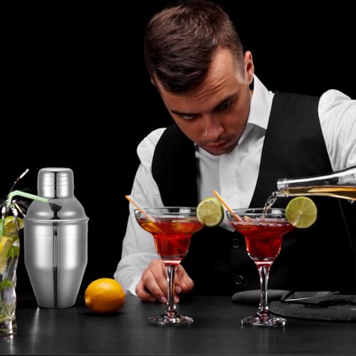 Nitial 9 Pcs Bar Cocktail Shaker Professional Stainless Steel Martini Drink Mixer Built-in Strainer for Bartending No Leaks Boston Shaker for Bar Party Drink Tool(Silver,8 oz) - My Kitchen Products