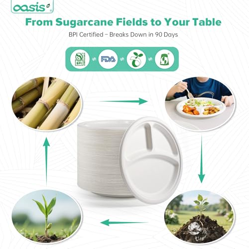 OasisSN 𝟭𝟬 𝗶𝗻𝗰𝗵, 𝟭𝟮𝟴-𝗣𝗮𝗰𝗸 3-Compartment Disposable Paper Plates, Compostable Heavy-Duty Divided Plates for Meal Prep, School Lunches & Party Buffets (White) - My Kitchen Products