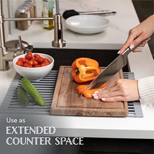 Oizeir Roll Up Dish Drying Rack - Silicone Coated Stainless Steel, Over The Sink, Foldable, Heat-Resistant, Anti-Slip, Dish Drainer. (17" x 12.5") - My Kitchen Products