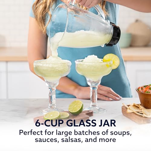 Oster Classic Series Heritage Blender with 6-Cup Glass Jar, 1000 Peak Watts, 600 Rated Watts, Stainless Steel Countertop Blender - My Kitchen Products
