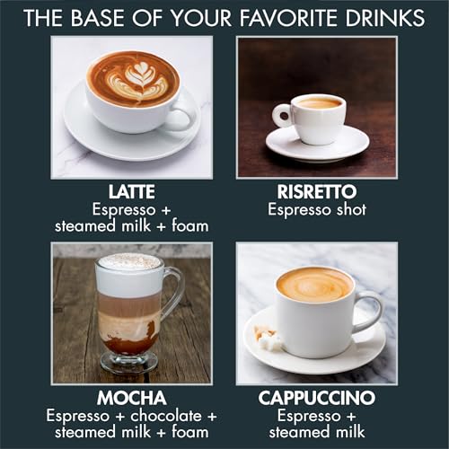 Primula Classic Stovetop Espresso and Coffee Maker, Moka Pot for Italian and Cuban Café Brewing, Greca Coffee Maker, Cafeteras, 6 Espresso Cups, Silver - My Kitchen Products