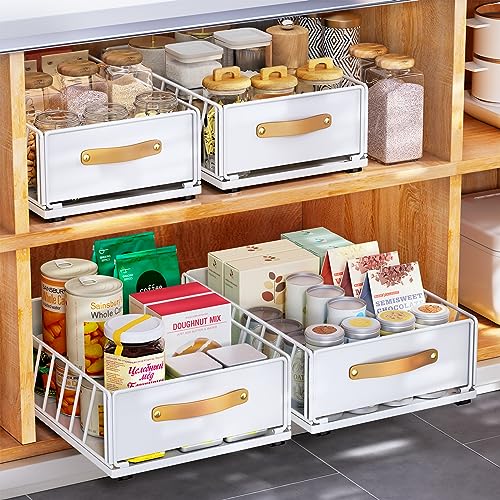 Pull out Cabinet Organizer,Heavy Duty Slide out Pantry Shelves Drawer Storage with Adhesive Nano Film,Sliding Mesh Cabinet