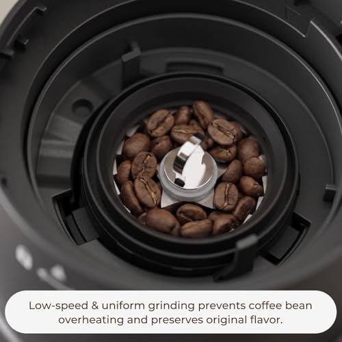 RIOSKY Burr Coffee Grinder with 60 Settings, Electric Conical Bean Grinder with Touch Screen & Anti-Static Technology for Espresso to French Press, 1-60s Timer & 1-8 Cup Dosing, Stainless Steel, Black - My Kitchen Products
