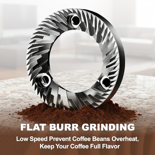 ROUNEXES Flat Burr Coffee Grinder Electric,Adjustable Coffee Grinder for Home Use, Burr Mill Grinder with 17 Levels, Large Bean Hopper & Removable Container, silver - My Kitchen Products