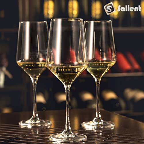 S SALIENT Wine Glasses Set of 6,Long Stem White/Red Wine glasses,14oz Hand Blown Premium Crystal Wine Glass,Gift Packing Burgundy Glasses - My Kitchen Products