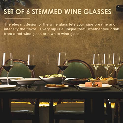 S SALIENT Wine Glasses Set of 6,Long Stem White/Red Wine glasses,14oz Hand Blown Premium Crystal Wine Glass,Gift Packing Burgundy Glasses - My Kitchen Products
