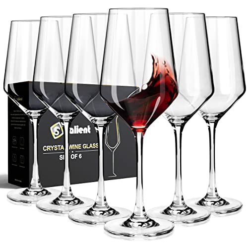 S SALIENT Wine Glasses Set of 6,Long Stem White/Red Wine glasses,14oz Hand Blown Premium Crystal Wine Glass,Gift Packing