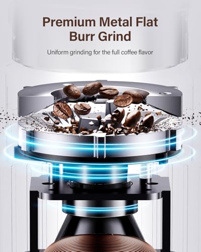 SHARDOR Burr Coffee Grinder Electric with 32 Grinding Sizes 4.0, Coffee Grinders for Home Use with 40 Seconds Adjustable Electronic Timer, Coffee Bean Grinder with Chamber Cleaning Button,Black - My Kitchen Products