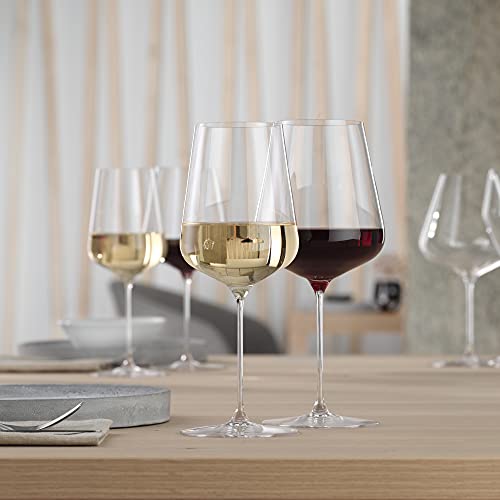 Spiegelau Definition Champagne Flutes, Elegant Crystal Champagne Glasses Gift Set, Perfect for Prosecco, Sparkling Rose, Mocktails, Home Bar Accessories, Housewarming, Wedding Gifts, 9 oz, Set of 2 - My Kitchen Products
