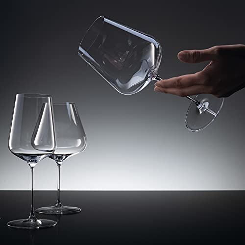 Spiegelau Definition Champagne Flutes, Elegant Crystal Champagne Glasses Gift Set, Perfect for Prosecco, Sparkling Rose, Mocktails, Home Bar Accessories, Housewarming, Wedding Gifts, 9 oz, Set of 2 - My Kitchen Products