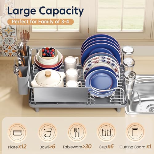 Stainless Steel Dish Drying Rack - Large Capacity Dish Rack for Kitchen Counter with Drain Board, Rustproof Dish Drainer with Auto Drain Spout Utensil Holder Glass Holder, Dinnerware Organizer, Gray - My Kitchen Products