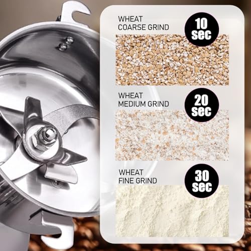 Stainless Steel Grain Mill - Electric 850W High-speed Grinder for Corn, Wheat, Pepper, Coffee Bean - My Kitchen Products