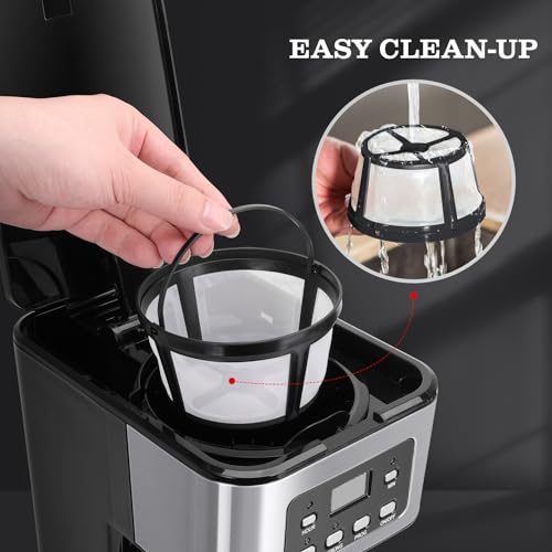 Taylor Swoden 12-Cup Programmable Coffee Maker, Regular & Strong Brew Drip Coffee Machine for Home and Office, Glass Carafe, Pause & Serve, Auto Shut Off, Black & Stainless Steel - My Kitchen Products